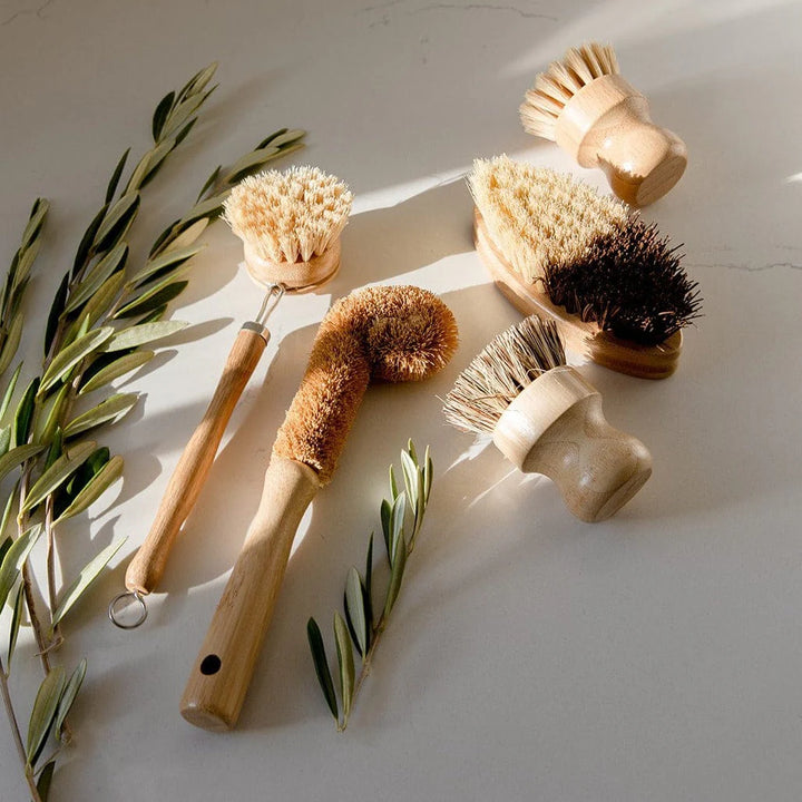 Dish Brush Kit 🌿