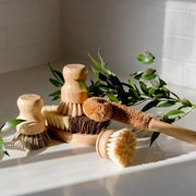 Dish Brush Kit 🌿