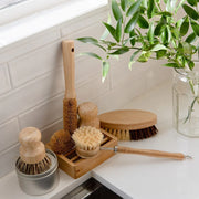 Dish Brush Kit 🌿