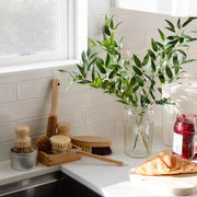 Dish Brush Kit 🌿